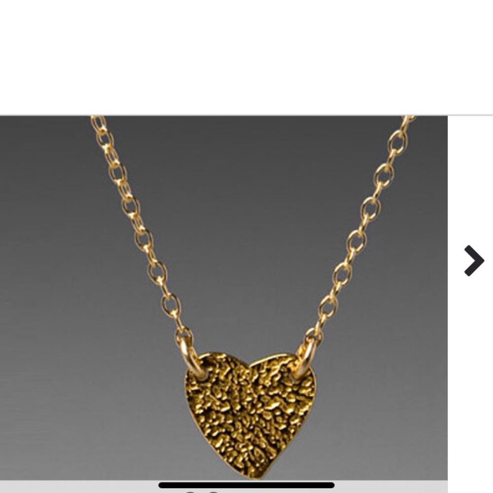 Gorjana Hammered Heart dainty necklace? Lost mine